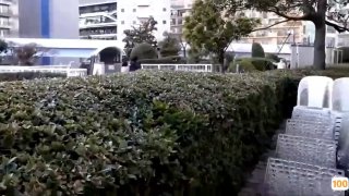 二零二三六月二十四号小当当